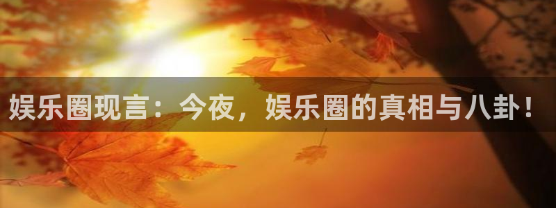 壹号app下载官方网站