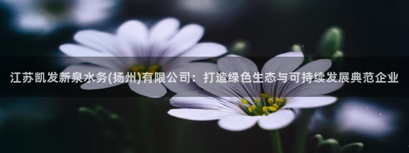 辉达平台平台管网入口
