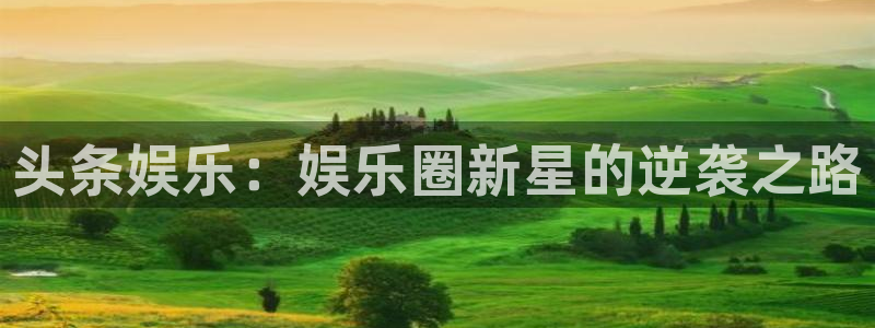 辉达平台平台官网登录入口