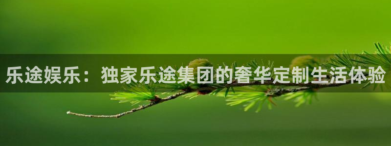 辉达平台app下载安装