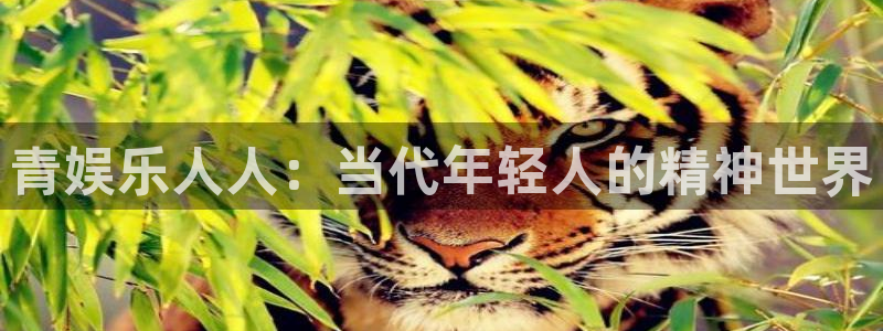 壹号大舞台娱乐传媒