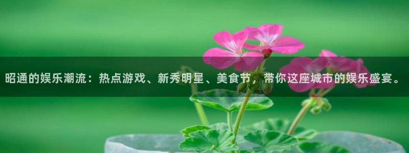 辉达平台预测在线预测