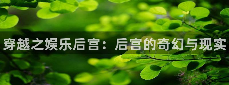 辉达平台平台最新版本下载