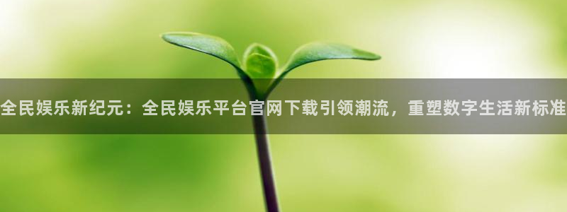 pg辉达平台平台下载入口