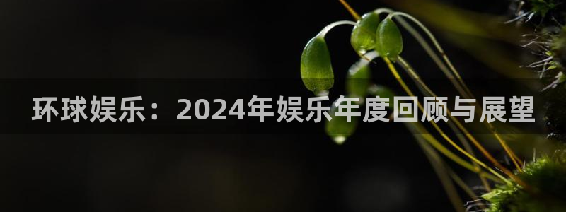 辉达平台注册链接入口