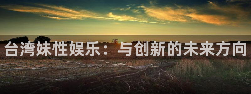 辉达平台电子游戏
