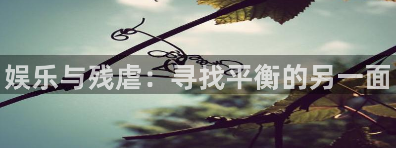辉达平台网址