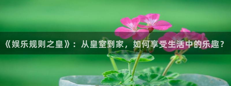 辉达平台注册入口