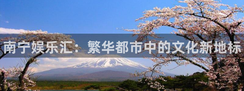 辉达平台账号注册入口