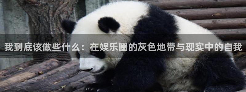 辉达平台.com