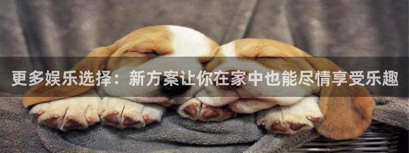 辉达平台游戏官网入口