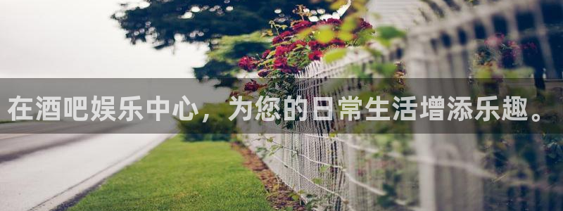 辉达平台软件