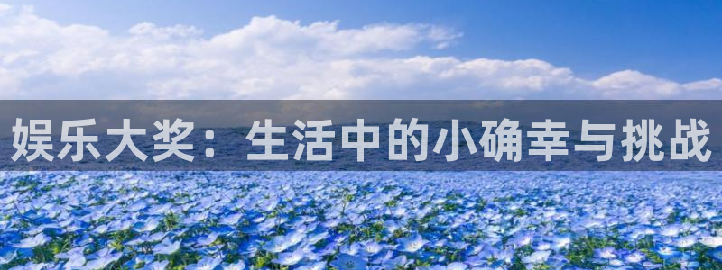 辉达平台平台登录