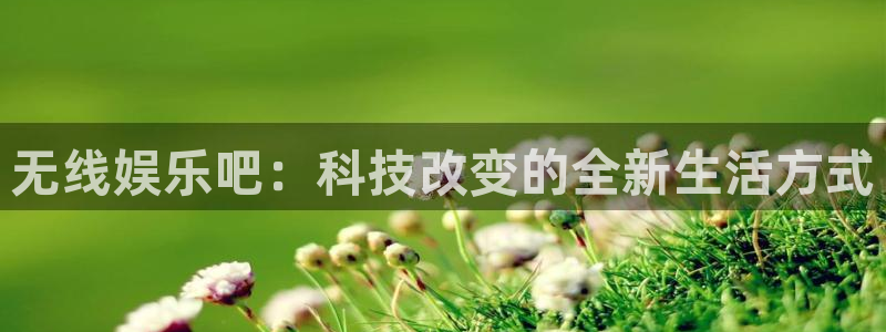 辉达平台游戏官网平台入口