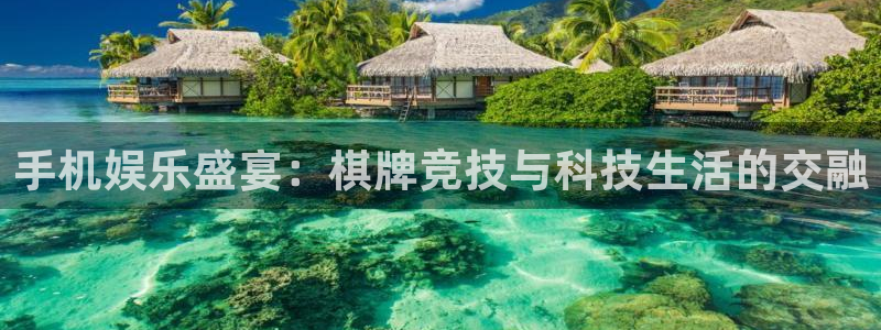 辉达平台赏金女王：手机娱乐盛宴：棋牌竞技与科技生活的交融