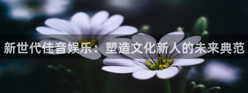辉达平台电玩网官网入口：新世代佳音娱乐：塑造文化新人的未来典范