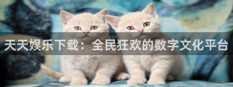 壹号下载安装：天天娱乐下载：全民狂欢的数字文化平台
