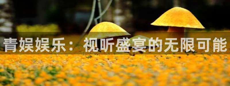 辉达平台平台官方网站：青娱娱乐：视听盛宴的无限可能