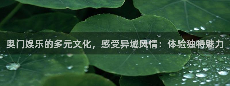 辉达平台强制退款流程详解：奥门娱乐的多元文化，感受异域风情：体验独特魅力