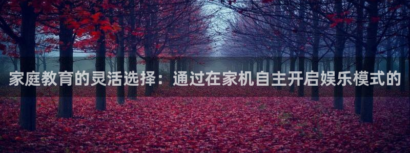 辉达平台怎么下载：家庭教育的灵活选择：通过在家机自主开启娱乐模式的