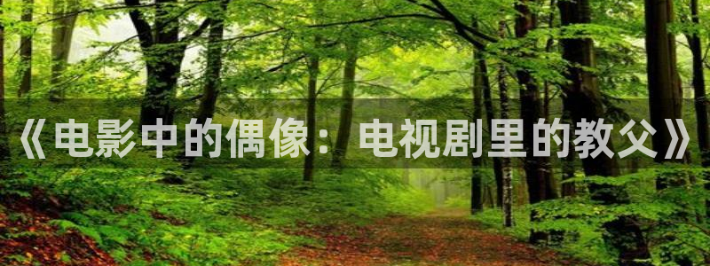 辉达平台app官网：《电影中的偶像：电视剧里的教父》