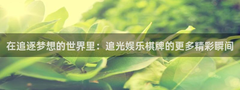 辉达平台平台官网版最新：在追逐梦想的世界里：追光娱乐棋牌的更多精彩瞬间