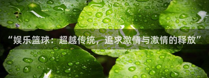辉达平台官网：“娱乐篮球：超越传统，追求激情与激情的释放”