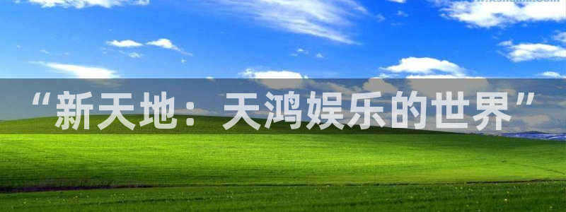 辉达平台手机版下载：“新天地：天鸿娱乐的世界”