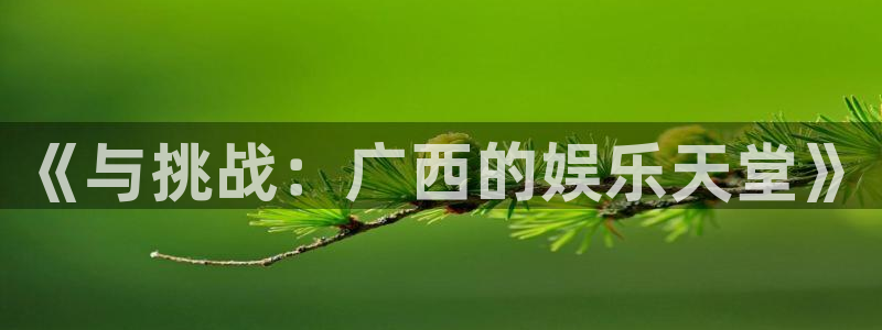 辉达平台登录网：《与挑战：广西的娱乐天堂》