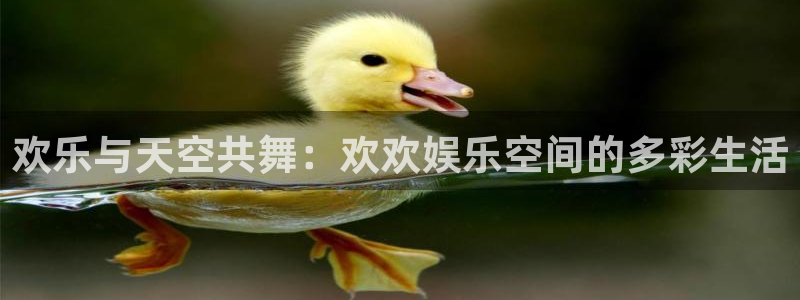 壹号app官方登录入口下载：欢乐与天空共舞：欢欢娱乐空间的多彩生活