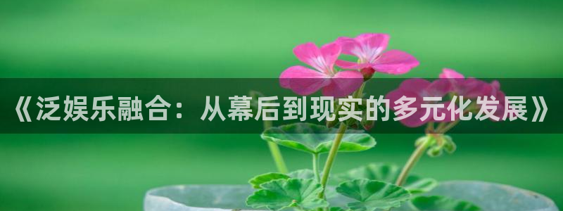 下载辉达平台app：《泛娱乐融合：从幕后到现实的多元化发展》