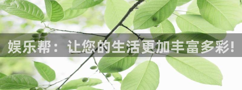 辉达平台注册网站：娱乐帮：让您的生活更加丰富多彩!