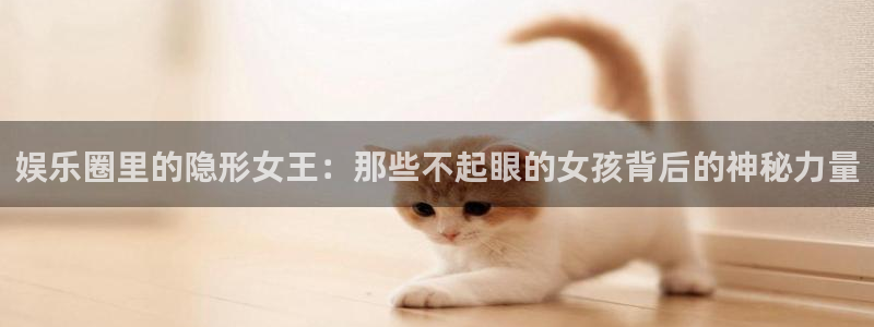 辉达平台账号注册：娱乐圈里的隐形女王：那些不起眼的女孩背后的神秘力量