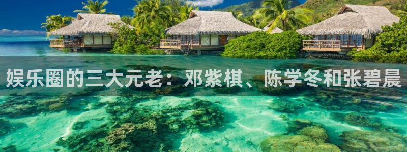 辉达平台注册链接入口：娱乐圈的三大元老：邓紫棋、陈学冬和张碧晨