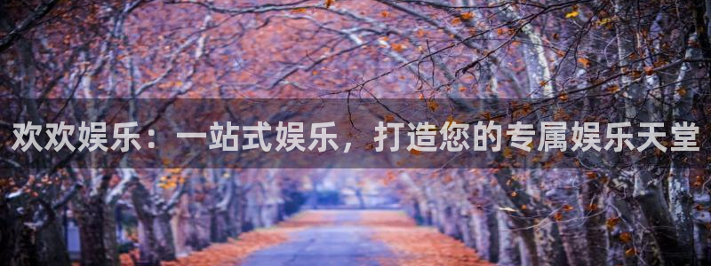 辉达平台的平台：欢欢娱乐：一站式娱乐，打造您的专属娱乐天堂