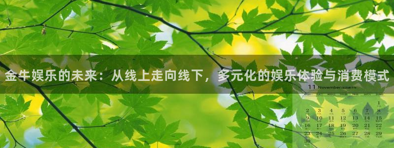 辉达平台充值怎么退款：金牛娱乐的未来：从线上走向线下，多元化的娱乐体验与消费模式